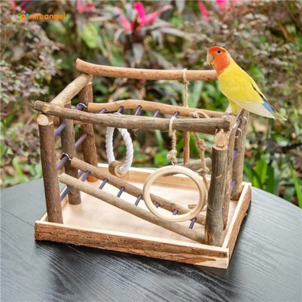 Natural Living Playground for Birds, Bird Activity Center